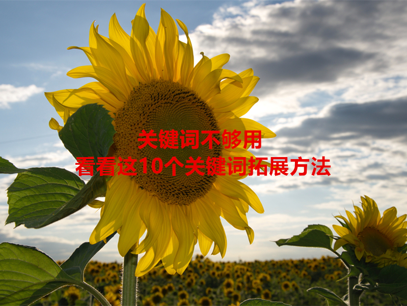 10個關鍵詞拓展方法